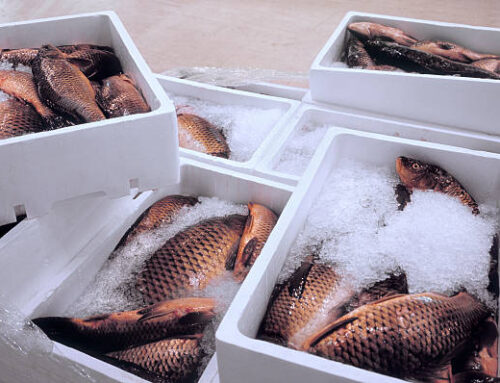 Mix 822: Mejorando los productos de carne y mariscos con calidad y funcionalidad superior